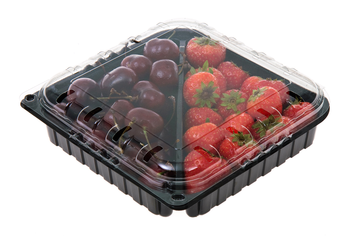 Сокол для ягодки. Контейнер для ягод (5 секций) вс-5. Контейнер для ягод пластиковый. Пластиковый лоток для ягод. Коробка с ягодами.